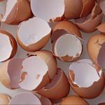 Eggshells as Organic Pest Control Plus Their Other Amazing Benefits for Plants