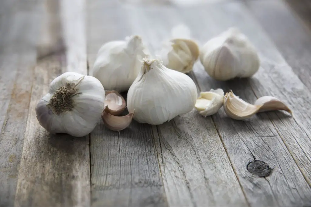 Garlic spray - natural pest control remedies for garden