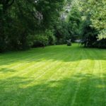 How To Level A Large Yard? A Beginners Guide With 7 Easy Steps