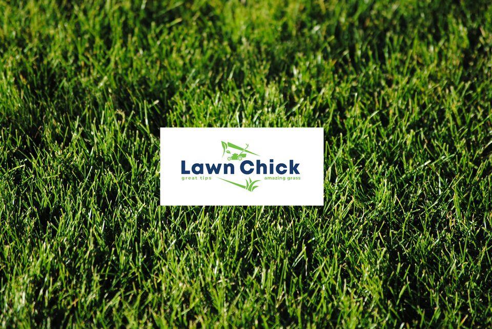 Lawn chick