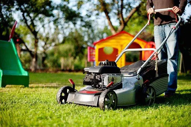 Lawn mower - how to mow wet grass