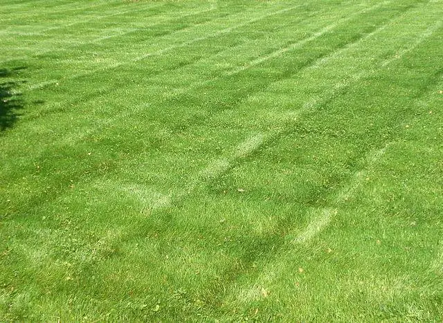 lawn striping patterns