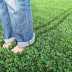 Is Having Micro Clover In Your Lawn Worth It? Pros & Cons Of Micro Clover In Grass!