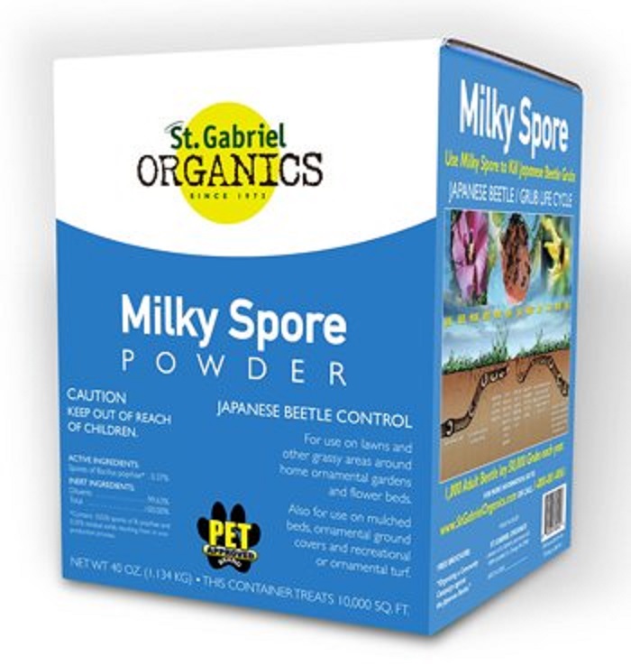 Milky spore - natural pest control remedies for garden