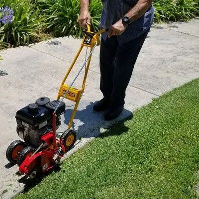 Gas-Powered Lawn Edgers