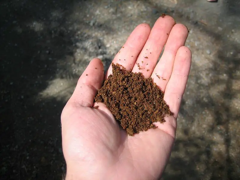 Reduce Phosphorus In Soil