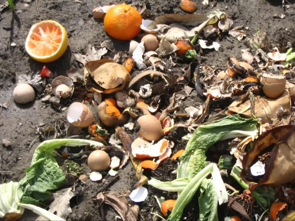 Use Eggshells in Compost Pile
