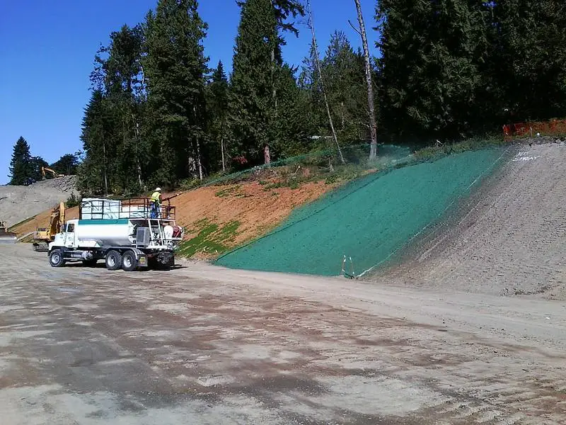 hydroseeding pros and cons