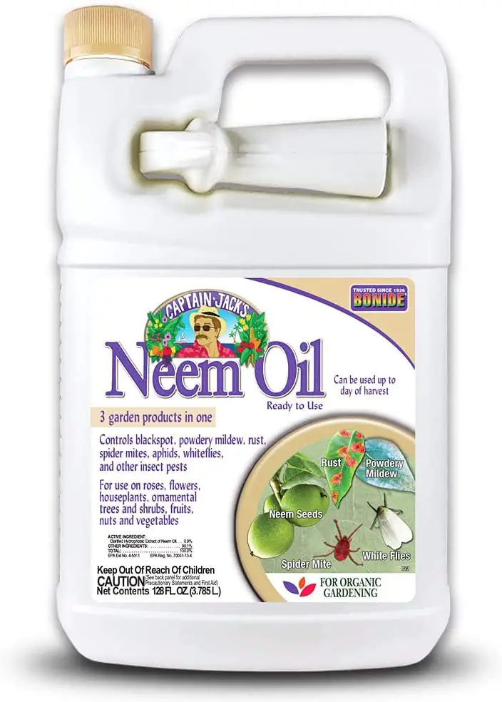 Neem oil - little white things in plant soil 8 ways to get rid of pests