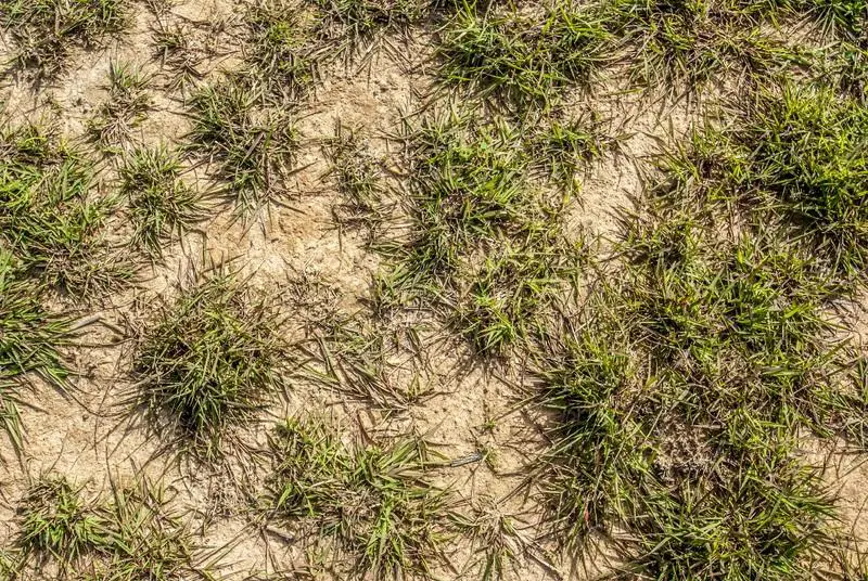 Check The Soil - when is it too cold to fertilize lawn