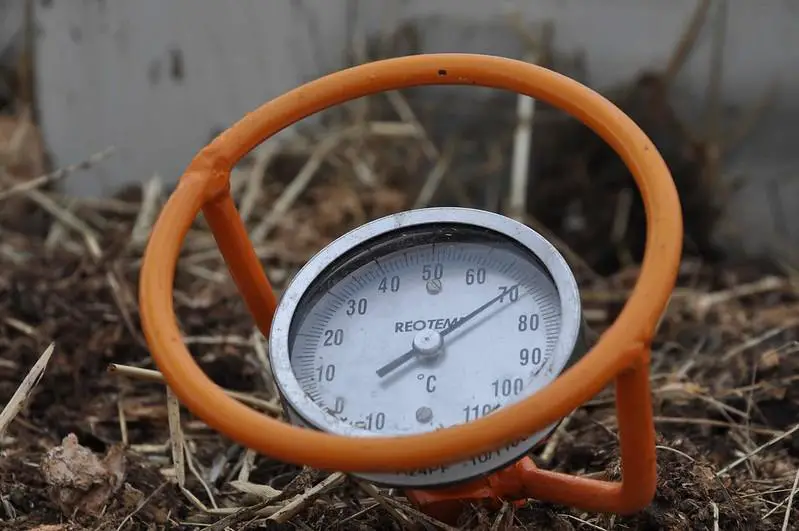 How To Test Soil Temperature? - how cold is too cold to plant grass seed