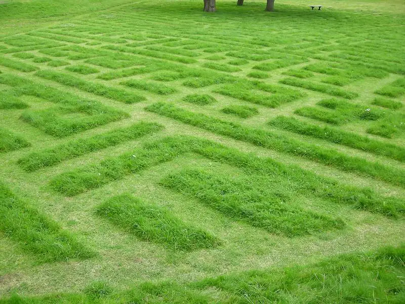 Tips For Creating Lawn Mowing Patterns 