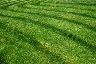 Varying Lines - lawn mowing patterns techniques