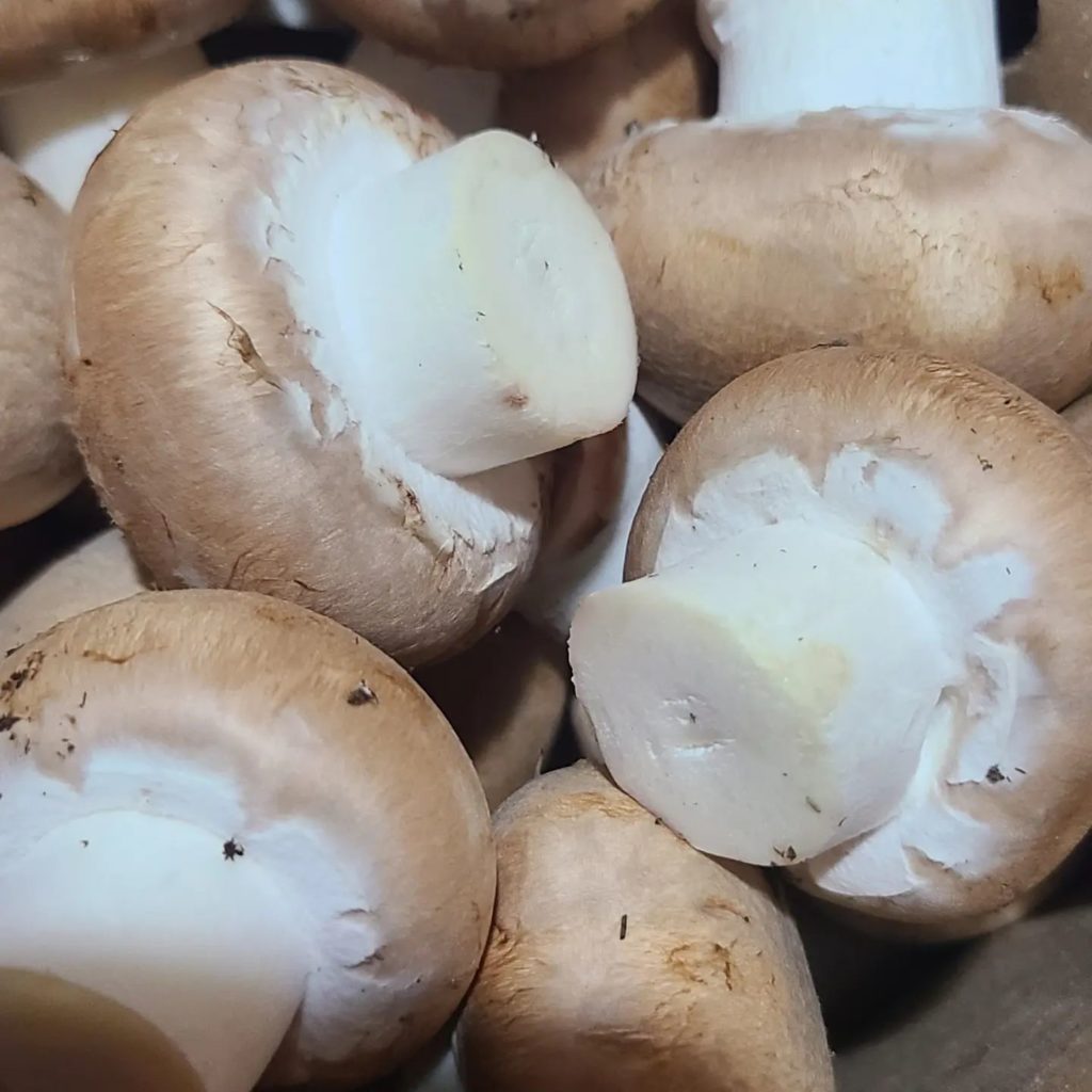 Cremini Mushrooms - types of edible mushrooms