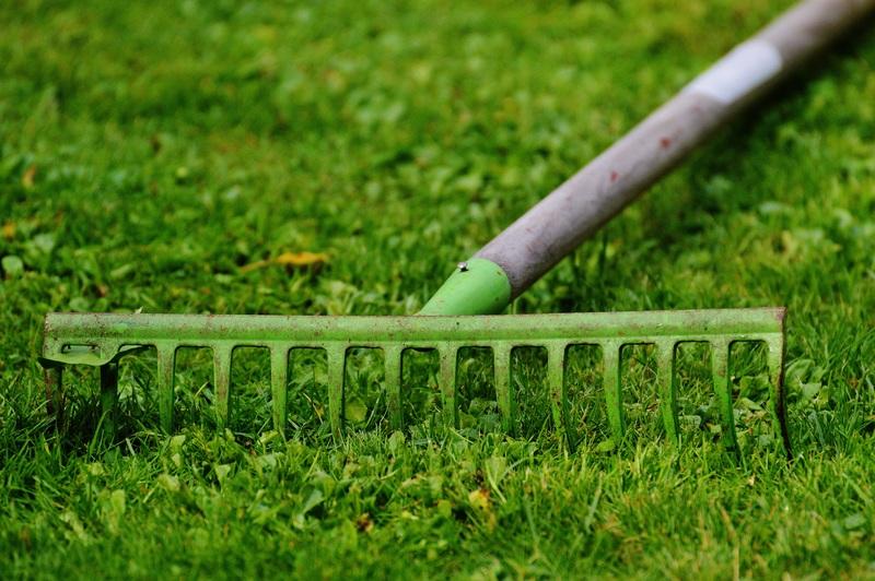 where to dump grass clippings