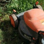 How Often Should You Mow Your Lawn For The Best Results?