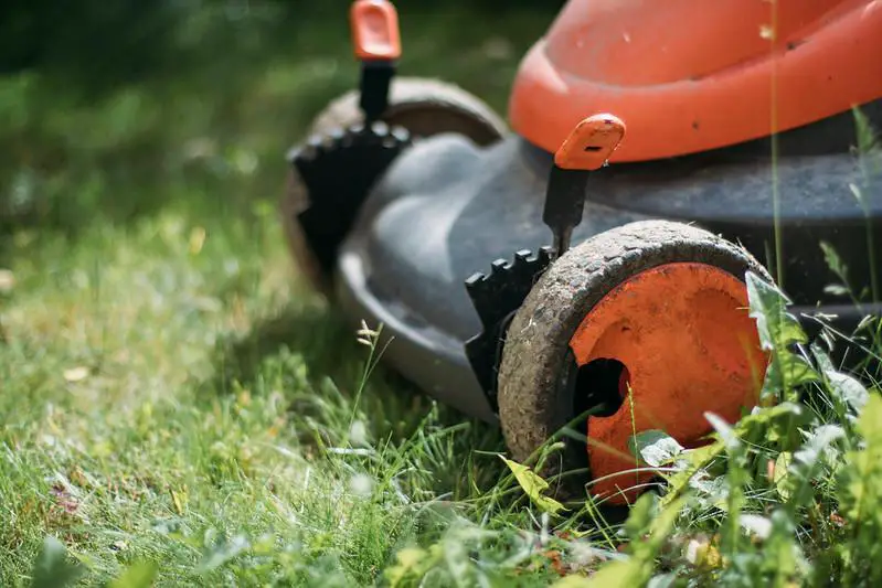 Lawn mower brands to avoid