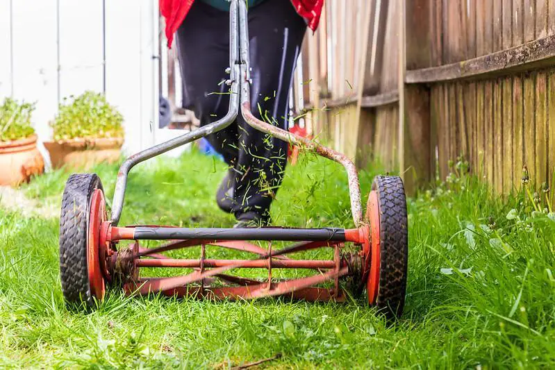 How To Properly Mow Your Kentucky Bluegrass Lawn?