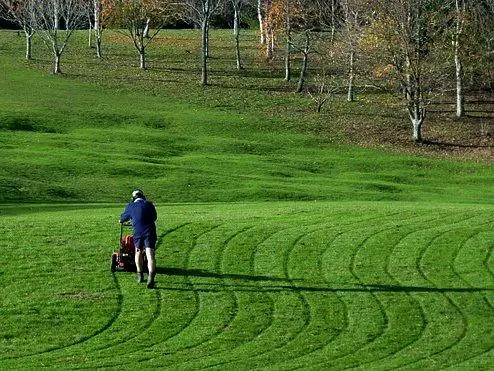 Why Use Lawn Mowing Patterns?