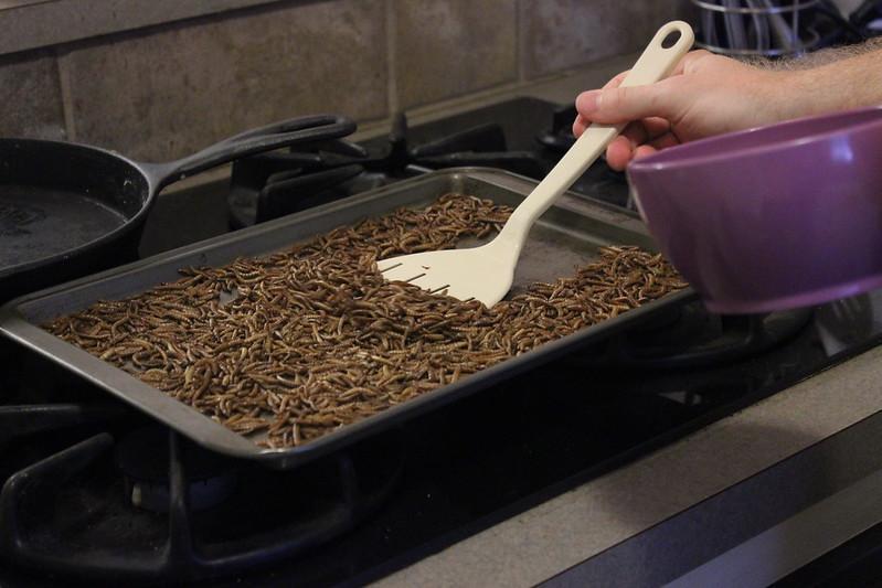 How Do You Eat Mealworms?