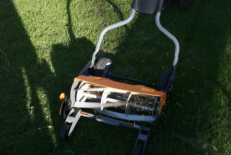 Is A Reel Mower Right for You?