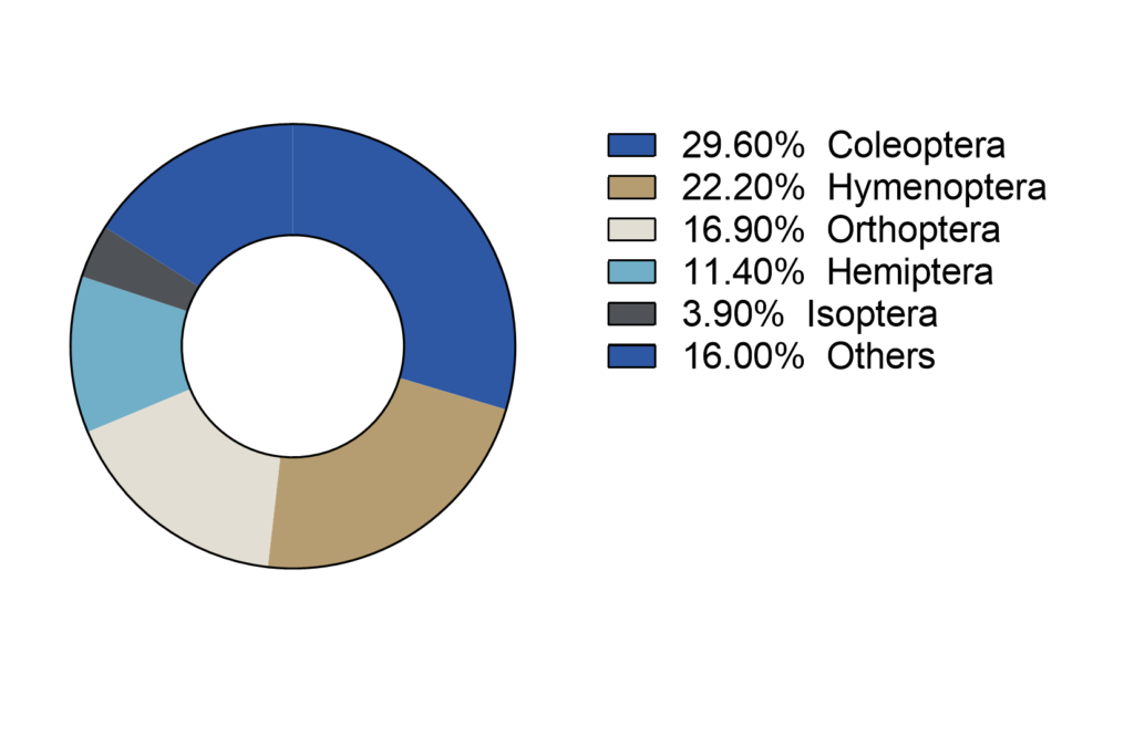Edible insects list - chart shows the percentage of species consumed per insect order
