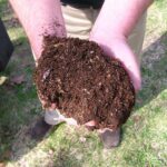 Top Dressing For Lawns: How To Do It & Is It Worth The Effort?