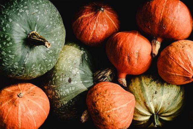 Cucurbits & Melons - when to apply fertilizer to garden