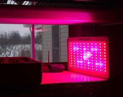 LEDs - will house plants grow under normal led lights
