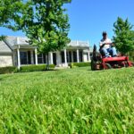 Should Mowing Lawn Be Done Before Or After A Weed And Feed Treatment? SOLVED