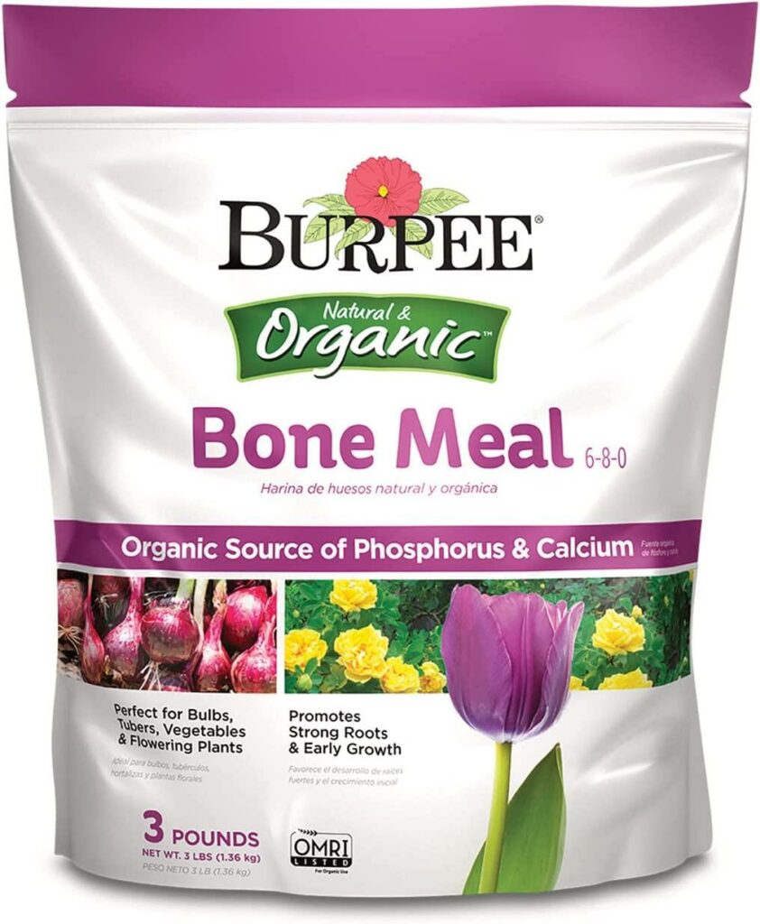 Burpee Bone Meal