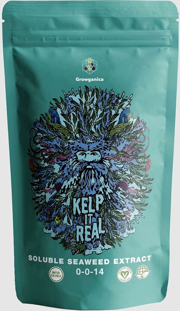Best vegetable fertilizers - Growganica Incredible Bulk Kelp it Real
