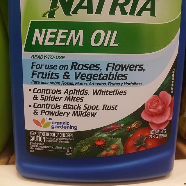 Neem oil for soil mites