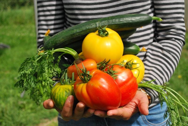 Tips For Fertilizing Vegetable Garden