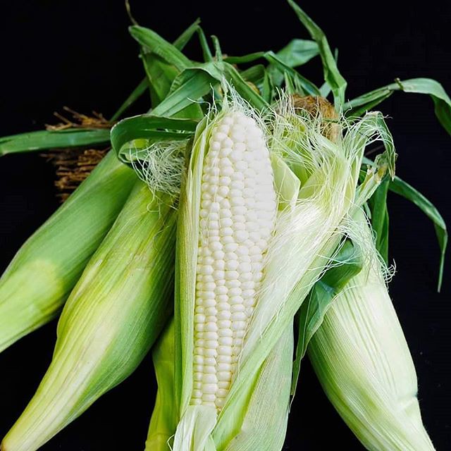 White Corn 