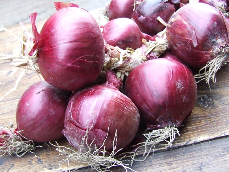 Italian Red Onion