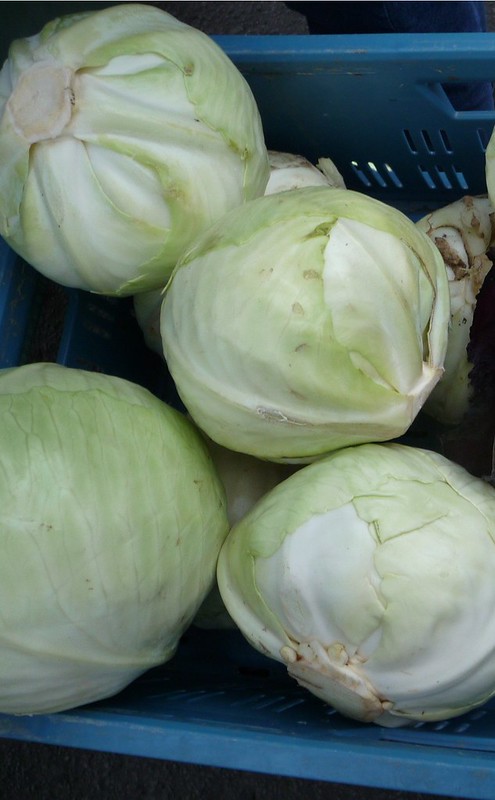 White Cabbage 