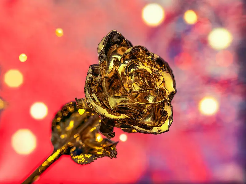 Gold-Dipped Rose