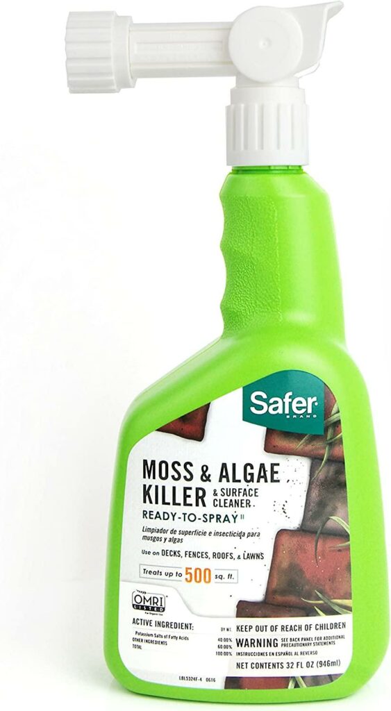 Moss in lawn - Spray With An Organic Solution