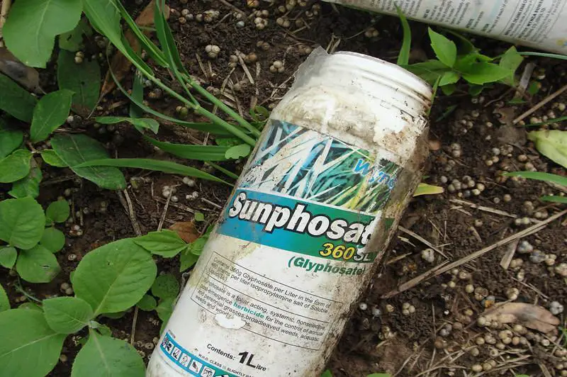Using Herbicides To Kill The Grass