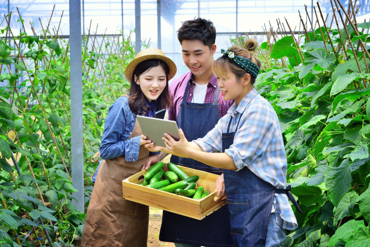 What Is Young Farmers? (1)