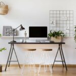 27 Best Plants For Office: Top Choices To Choose From