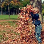 How To Bag Leaves In Your Yard? The Best Way And Some Expert Tips