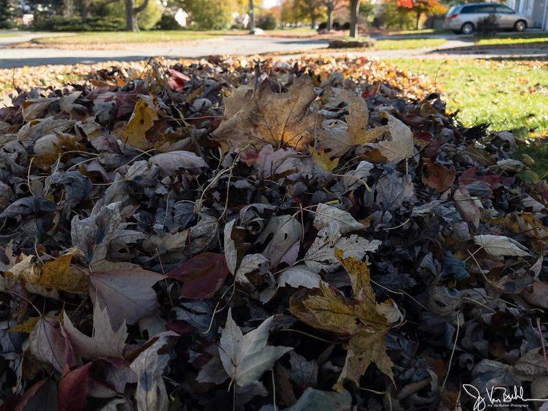 How I Bag Leaves On My Lawn?