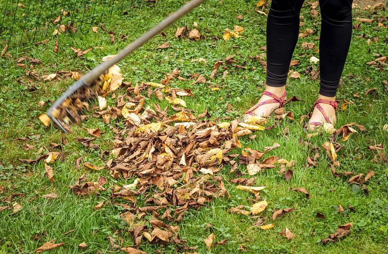 Tips & Tricks For Bagging Leaves
