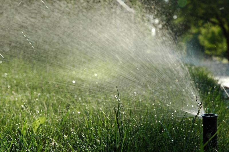 How Often Should You Water Your Lawn?