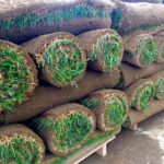 How To Lay Sod For The Best Results? A Comprehensive Guide